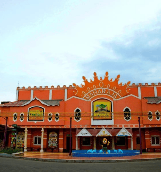 international courier service in chinniyampalayam