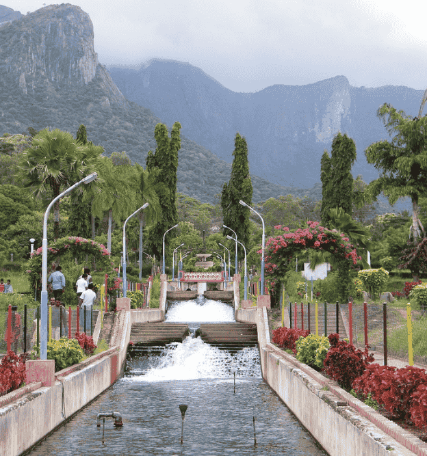 international courier service in gandhipark