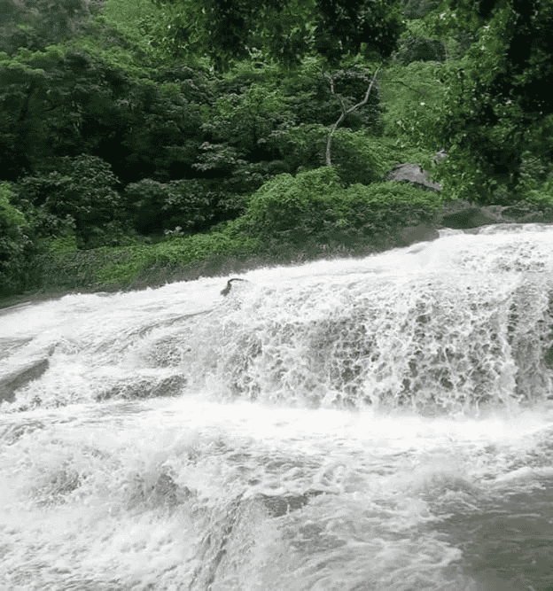 international courier service in karunya