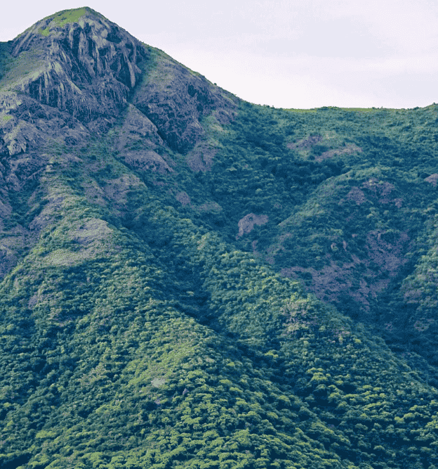 international courier service in thadagam