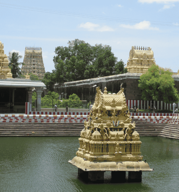 international courier service in varadharajapuram